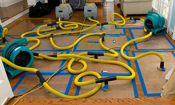 Professional Water Damage Repair technician working in Thompson, OH