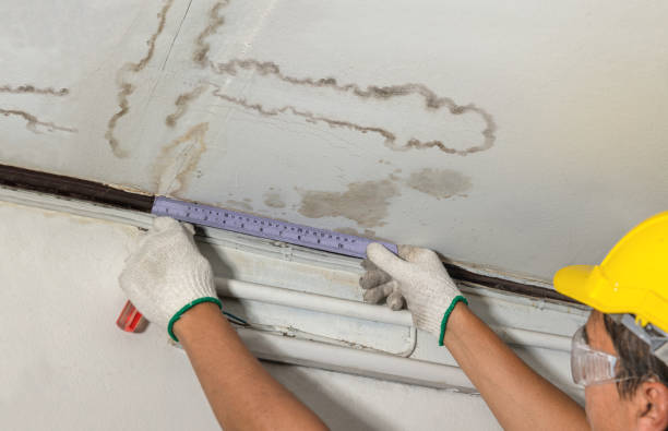 Affordable Water Damage Repair solutions in Thompson, OH